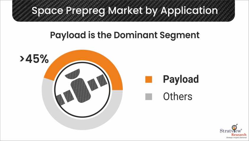 Space-Prepreg-Market-Segment-Analysis-By-Application-Type